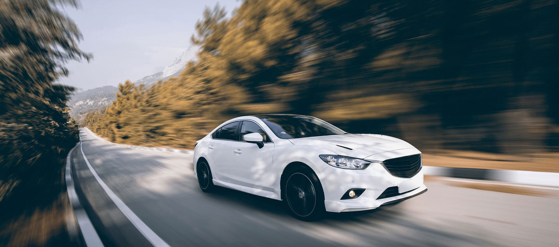 Speed4Ever